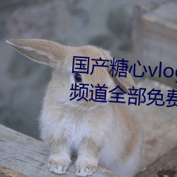国产糖心vlog传媒nana所有加密频道全部免费 （停留）