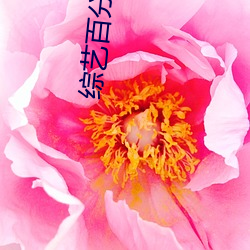 综艺(藝)百(百)分百