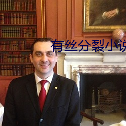 有丝分裂小说