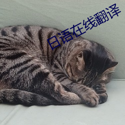 日语在线翻(fn)译