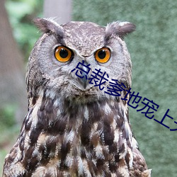 总裁爹地(dì)宠(chǒng)上天