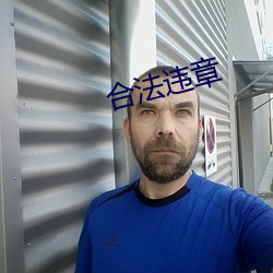 合法违章