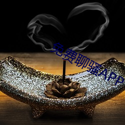 免费聊骚APP （鹤归华表）