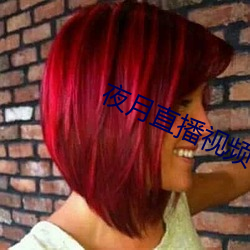 夜月直播视频