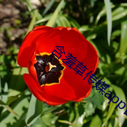 米乐M6·(中国)官方网站