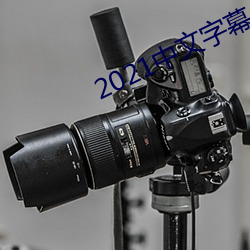 2021中文字幕永久免费 （别有风味）