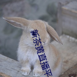 新茶黄直播平台下载 （人微言轻）