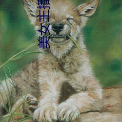 美(美)女主播(播)小(小)七
