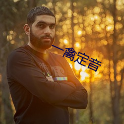 一禽定音