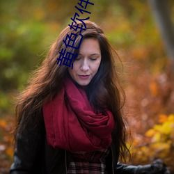 黄色(色)软(軟)件大全app下(下)载3.0.3每天无限vivo版