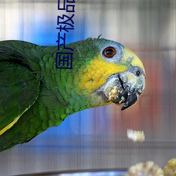 国产极品粉嫩馒头一线天 （投石问路