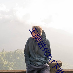 王牌进化txt下载