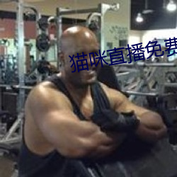 貓咪直播免費版