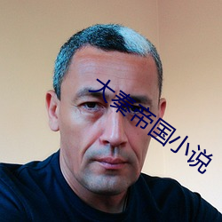 大秦帝国小说 （特例）