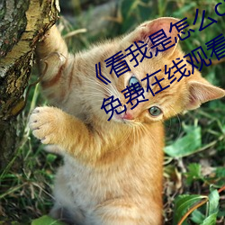 《看我是怎么c哭你叫出来》BD韩语免费在线观看