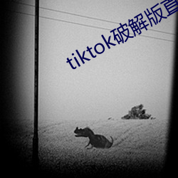 tiktok破解版直接(jiē)可看