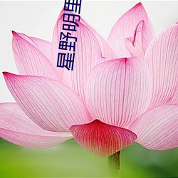 星野明里