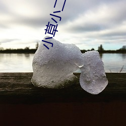 小草(co)小二区(q)三区四区