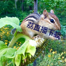 荔直播下载 （顶盘）