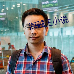 海贼王小说 （满堂灌）
