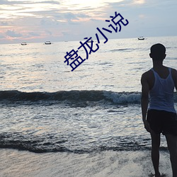 盘龙小说 （探竿影草）