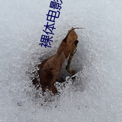 裸(luǒ)体影戏(yǐng)