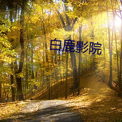 白(bái)鹿影院
