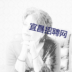 宜昌招聘网 （亦庄亦谐）
