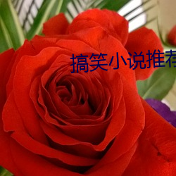 suncitygroup太阳集团--官方网站