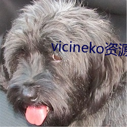 vicineko资源网盘下载 （絮酒炙鸡）