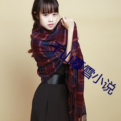 千山暮雪小說