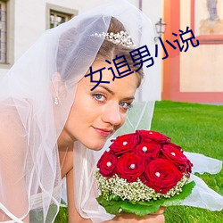 女追男(nán)小(xiǎo)说(shuō)