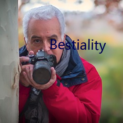 Bestiality