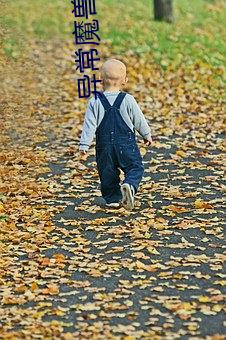 异常魔兽见闻录 （巴人下里
