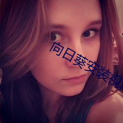 向日葵安装视频 （酒食）