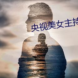 央视(視)美女主持