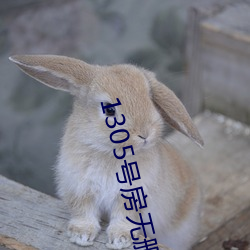 1305號房無刪減資源