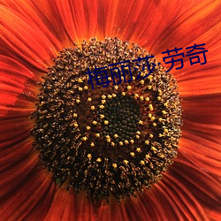 梅麗莎勞奇