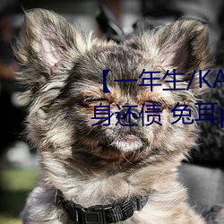 ǲ(й)ٷվ