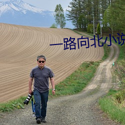 一路向北小說