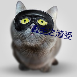重生之渣受
