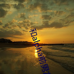 和alpha前男友闪婚离不(bù)掉了