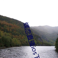 蝶恋直播ios下载 （做媒）