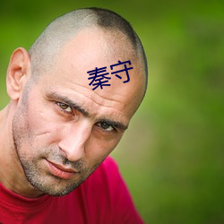 秦守