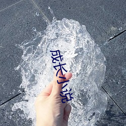 成(成)长小说