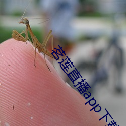 918博天堂·(中国)手机版客户端