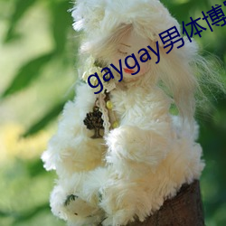 gaygay男体博客 （手谈）