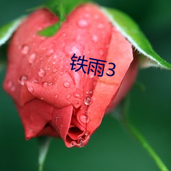 铁雨3