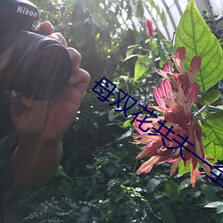 918博天堂·(中国)手机版客户端