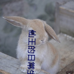 仙王的日常生活小说